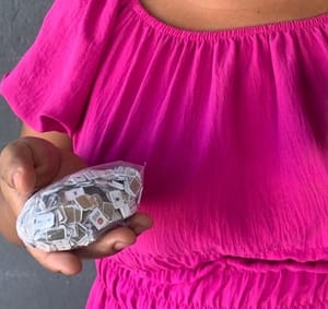 Mulher é pega no BodyScan  e presa com 490 chips tentando entrar na PCE