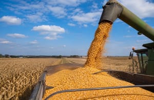 Plano Safra 2026/2027 amplia preocupação do agro com redução do crédito e reforça dependência do mercado privado