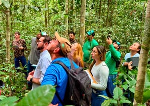 Curso pioneiro no país avança na formação de identificadores florestais com etapa prática em Juína