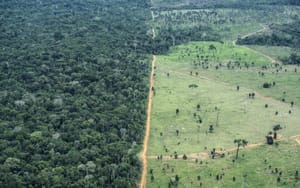 Operação aplica R$ 86,8 milhões em multas por crimes ambientais e fiscaliza mais de 10 mil hectares em MT