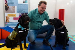 Max Russi propõe censo para contar cães e gatos em MT, identificar abandono e direcionar recursos aos municípios