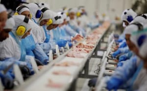 Indústria de MT reage 1%, mas alimentos puxam queda anual de 4,4% e expõem perda de força da produção