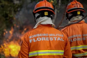 Incêndios atingem três municípios de MT e estado registra 59 focos de calor em 24 horas