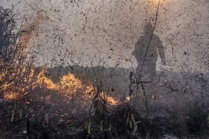 Governo Federal aprova R$ 45,2 milhões para combater efeitos da seca e das queimadas no Amazonas