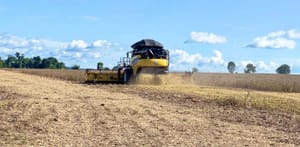 Justiça decreta falência de grupo rural em Mato Grosso e determina bloqueios de até R$ 45,4 milhões